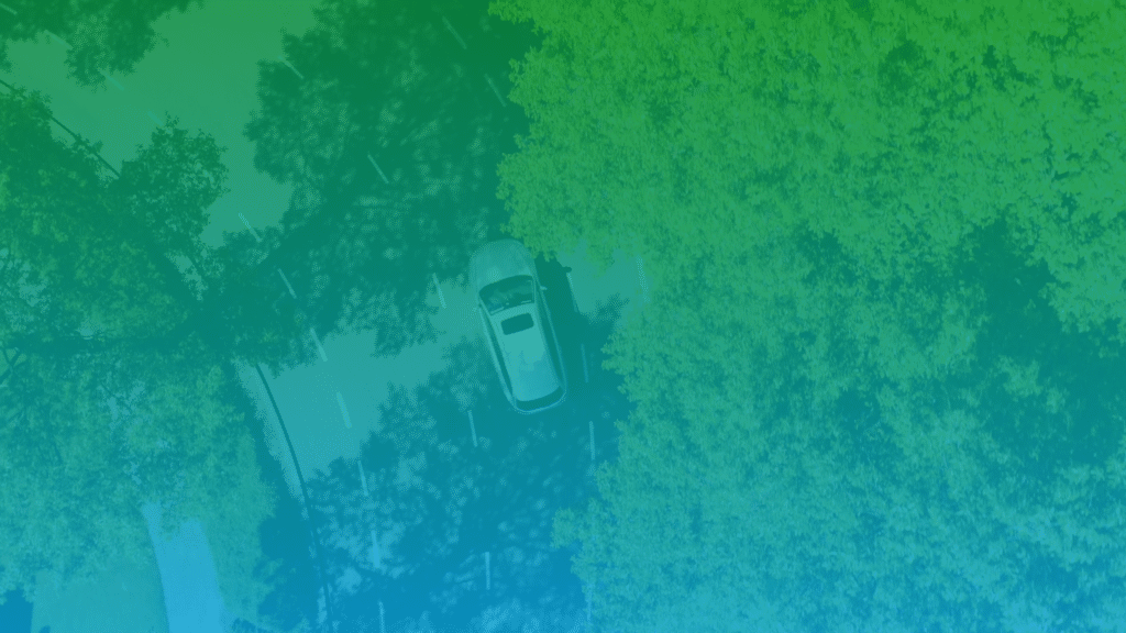 Auto auf Straße unter Bäumen